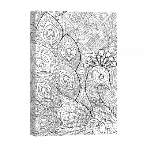 Peacock Prance 12x18 Coloring Canvas Wall Art