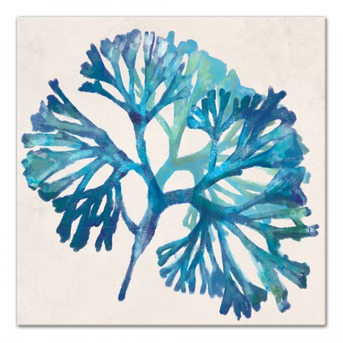 Turquoise Sea Weed 24x24 Canvas Wall Art