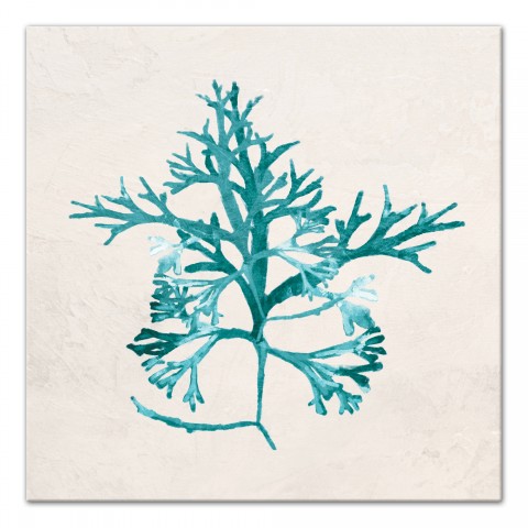 Verdant Sea Weed 24x24 Canvas Wall Art 