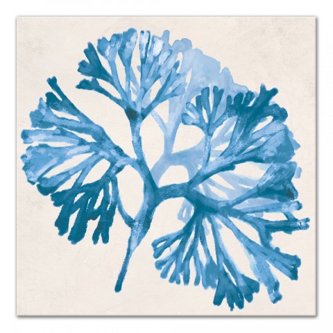 Cobalt Sea Weed 24x24 Canvas Wall Art 