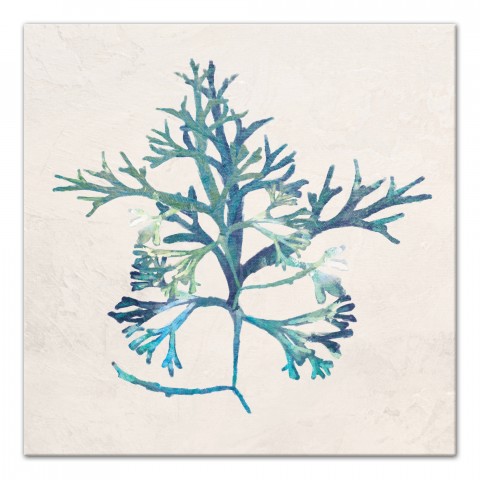 Emerald Sea Weed 24x24 Canvas Wall Art
