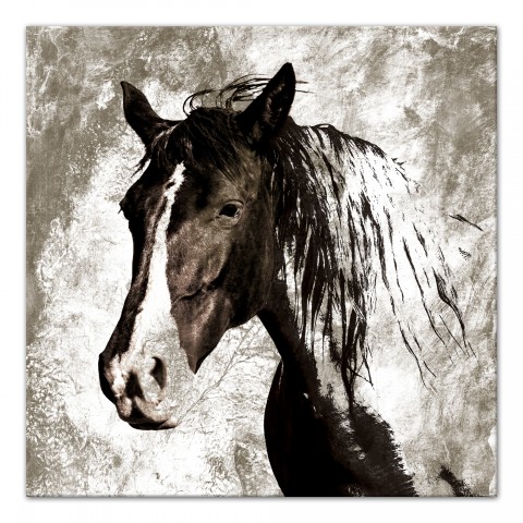 Horse Study in Sepia 30x30 Canvas Wall Art