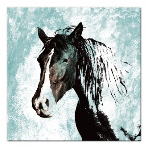 Horse Study in Aqua 30x30 Canvas Wall Art 