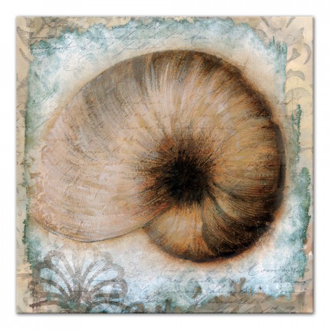 Button Shell 2 Coastal 30x30 Canvas Wall Art 