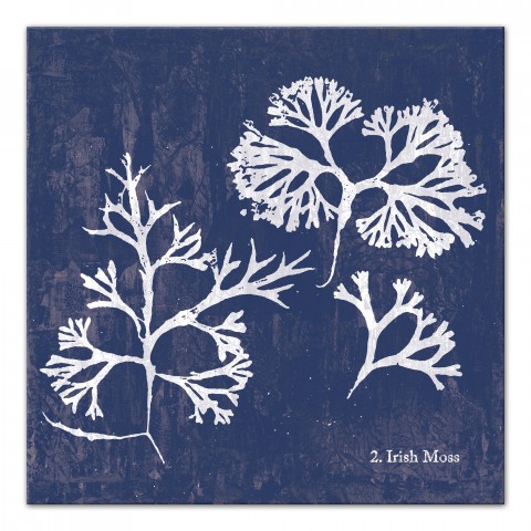 Azure Irish Moss 20x20 Canvas Wall Art