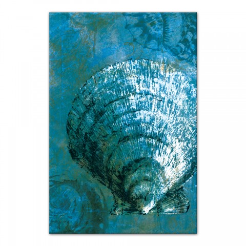 Turquoise Cockle 24x36 Canvas Wall Art
