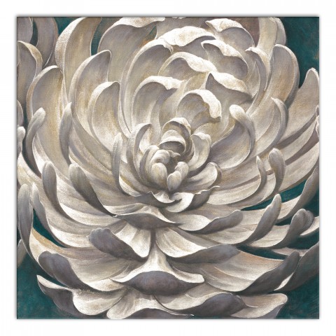 White Chrysanthemum 36x36 Canvas Wall Art