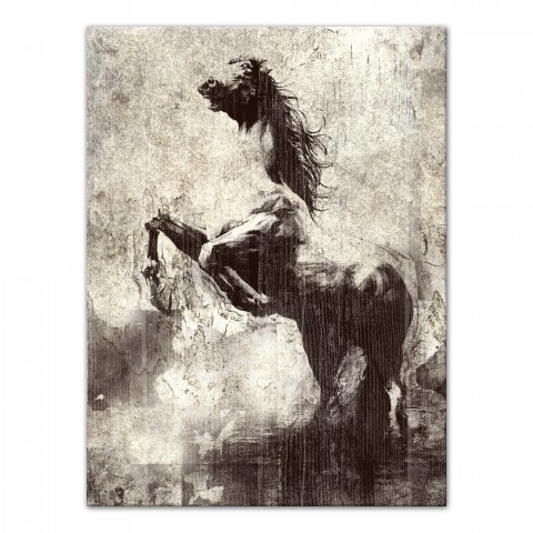 Lone Star 30x40 Canvas Wall Art