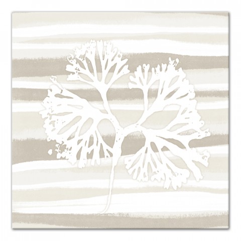 White Kelp 1 30x30 Canvas Wall Art 