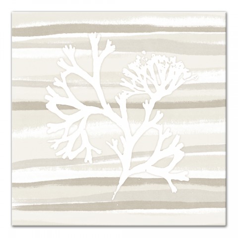 White Kelp 2 30x30 Canvas Wall Art