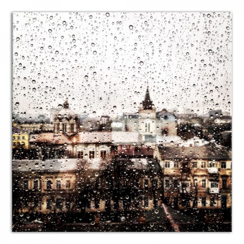 View From Above 36x36 Canvas Wall Art