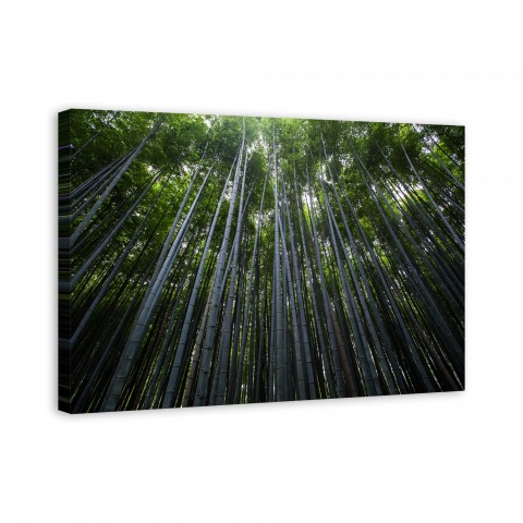 Congo View 48x32 Canvas Wall Art 
