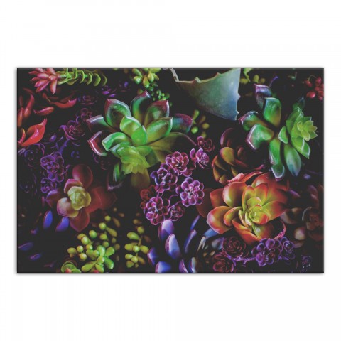 Succulent 2 48x32 Canvas Wall Art