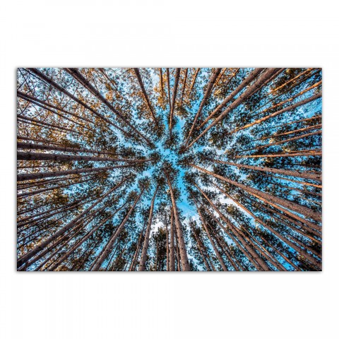 Jubilation 48x32 Canvas Wall Art