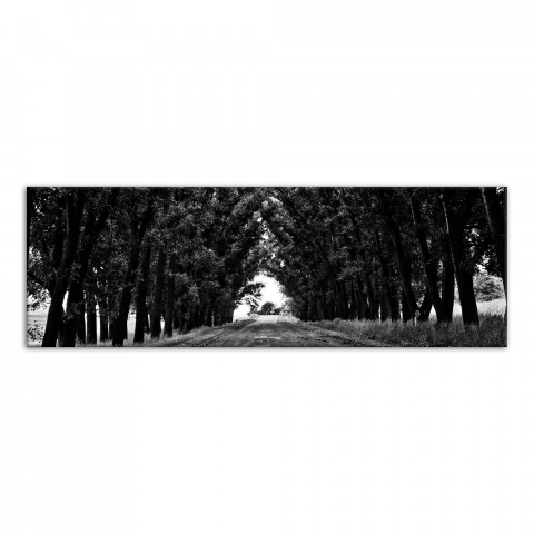 Tree Arcade 60x20 Canvas Wall Art 