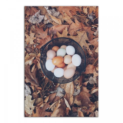 Farm Fresh Eggs 20x30 Canvas Wall Art