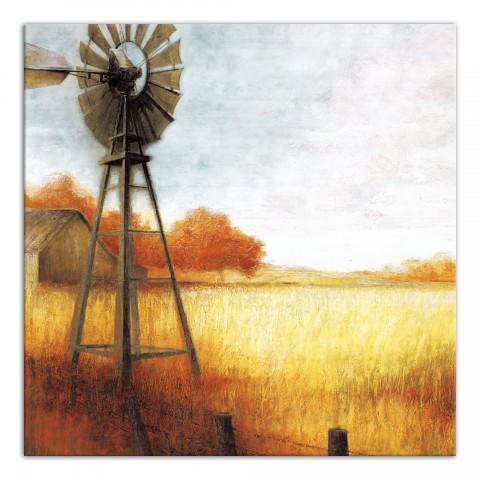 Fields of Gold 24x24 Canvas Wall Art