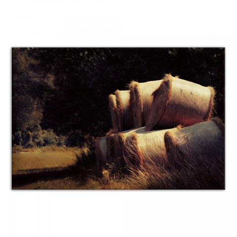 Rolls of Hay 36x24 Canvas Wall Art 