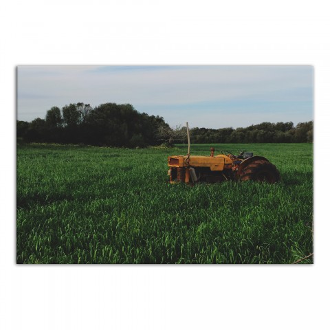 Big Yellow Tractor 36x24 Canvas Wall Art
