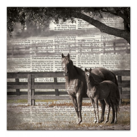 Horse News 30x30 Canvas Wall Art