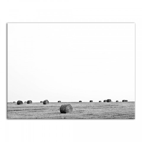 Harvested Field 40x30 Canvas Wall Art 