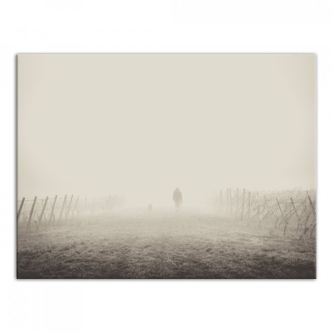 Into The Fog 40x30 Canvas Wall Art
