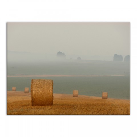 Misty Hay Field 40x30 Canvas Wall Art
