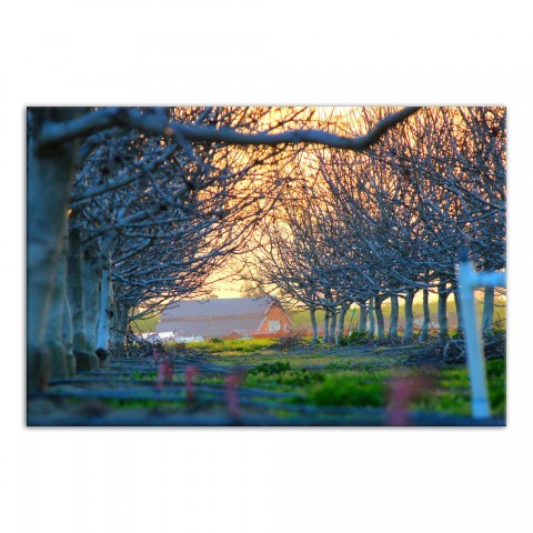 Barn Sunset Hour 48x32 Canvas Wall Art