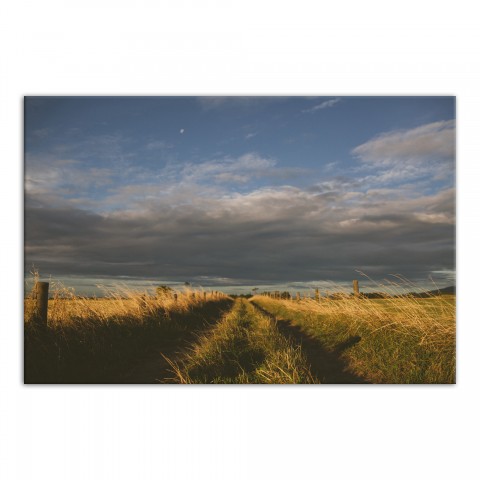 Truck Trail 48x32 Canvas Wall Art