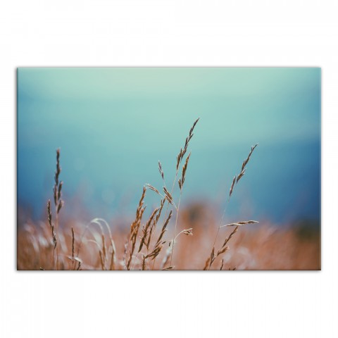 Golden Wheat Field 48x32 Canvas Wall Art
