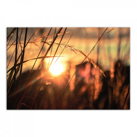 Sunset Wheat 48x32 Canvas Wall Art