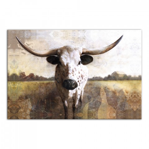 Spotted Ox 48x32 Canvas Wall Art