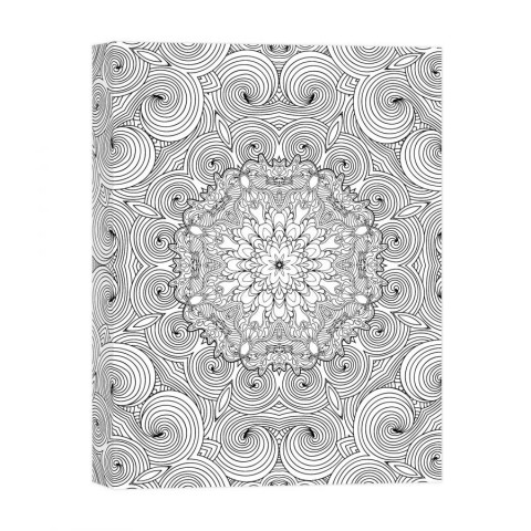 Botanical Whirlpool 12x16 Coloring Canvas Wall Art