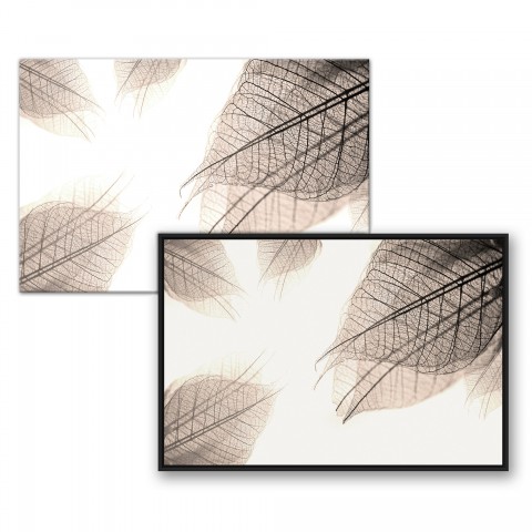X-Ray Leaves Wall Art