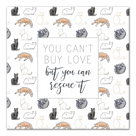 Rescue Cat 16x16 Canvas Wall Art