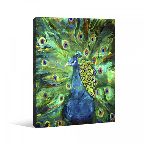 Peacock Power Canvas Wall Art