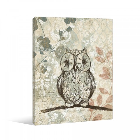 Little Wise Owl Canvas Wall Art