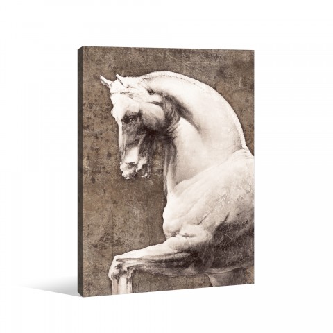 Stoic White Horse Canvas Wall Art