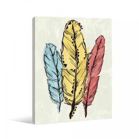 Fun Feathers Canvas Wall Art