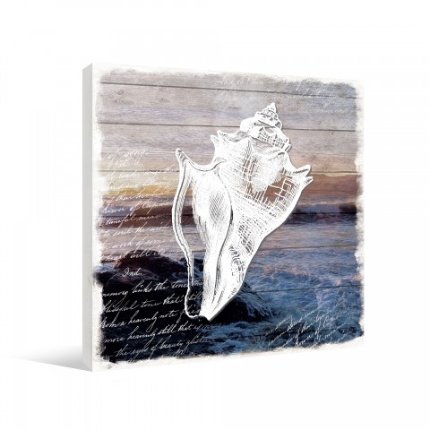 Conch Shell Canvas Wall Art