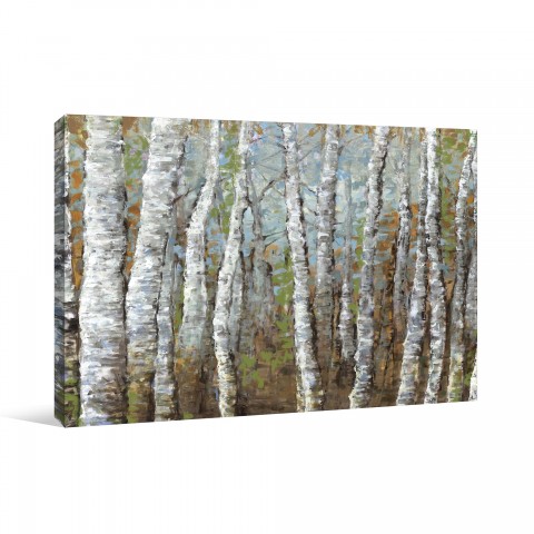 Painted Birches Canvas Wall Art