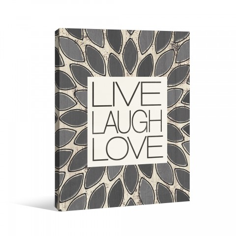 Live Gray Feathers Canvas Wall Art 