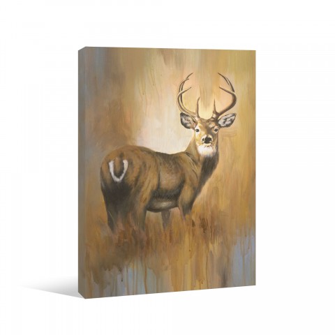 Golden Deer Days 24x36 Canvas Wall Art