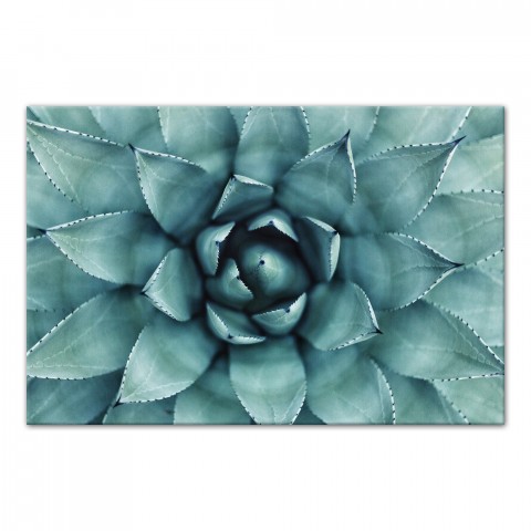Agave 3 Wall Art