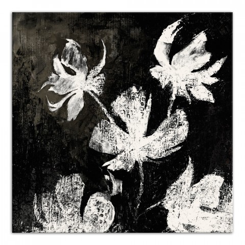 Floral X-ray 1 30x30 Canvas Wall Art