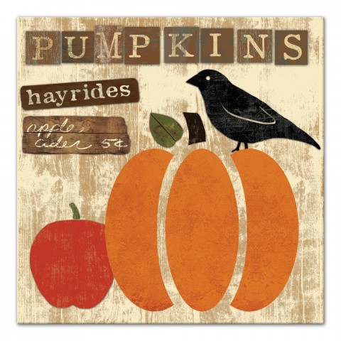 Pumpkins 16x16 Canvas Wall Art