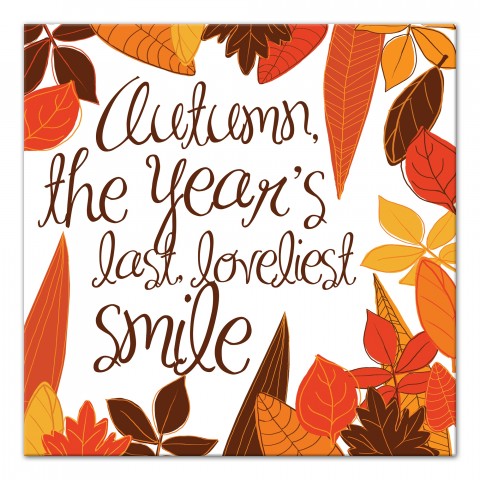 Loveliest Smile 20x20 Canvas Wall Art