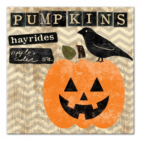 Pumpkins II 20x20 Canvas Wall Art