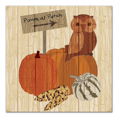 Harvest Owl 16x16 Canvas Wall Art