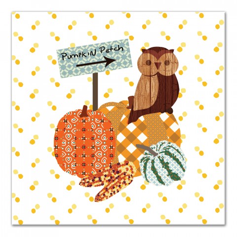 Harvest Owl II 16x16 Canvas Wall Art